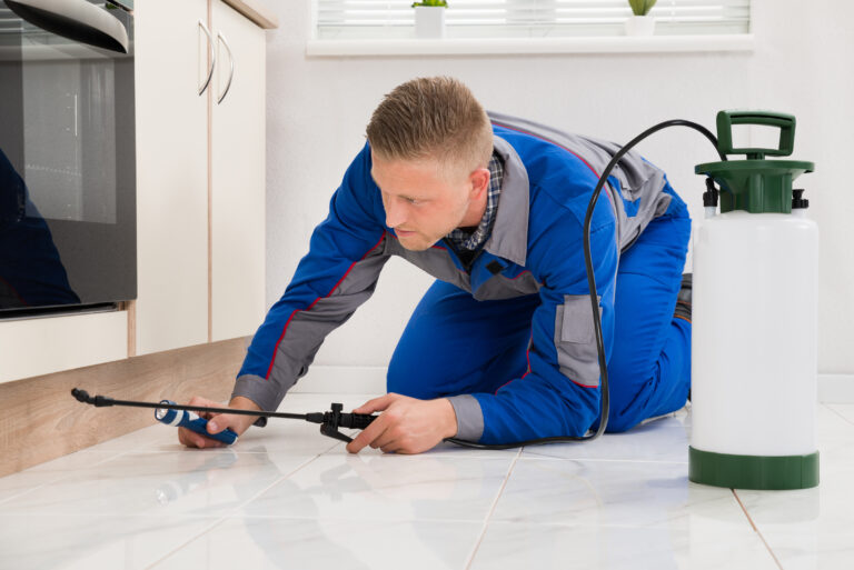 Tips on Choosing a Pest Control Services Company