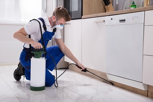 Tips on Choosing a Pest Control Services