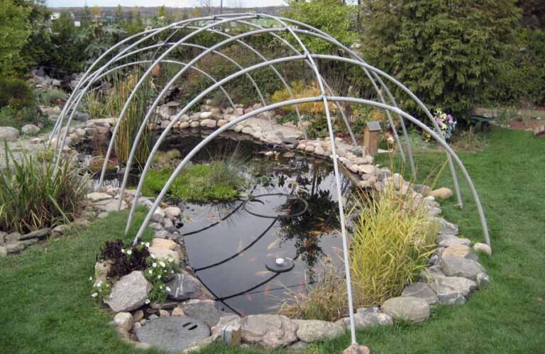 Reasons You Need A Pond Cover