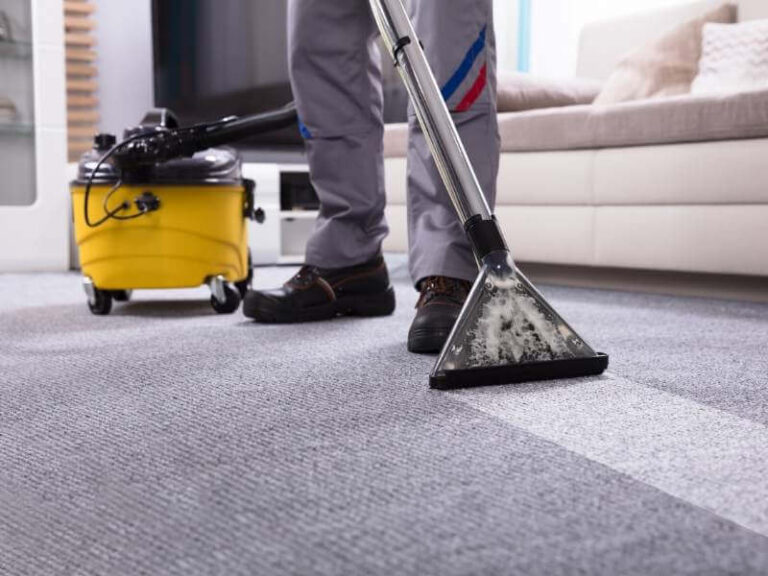 Choose the Right Carpet Cleaning Company